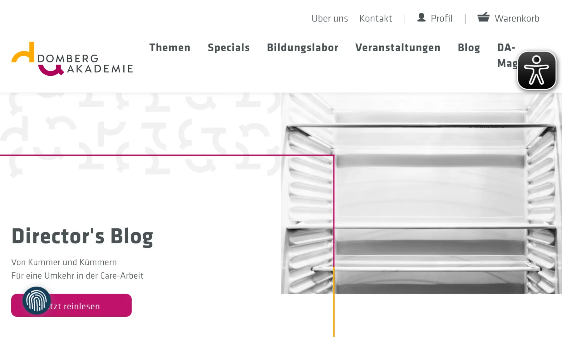 domberg-akademie.de_.png